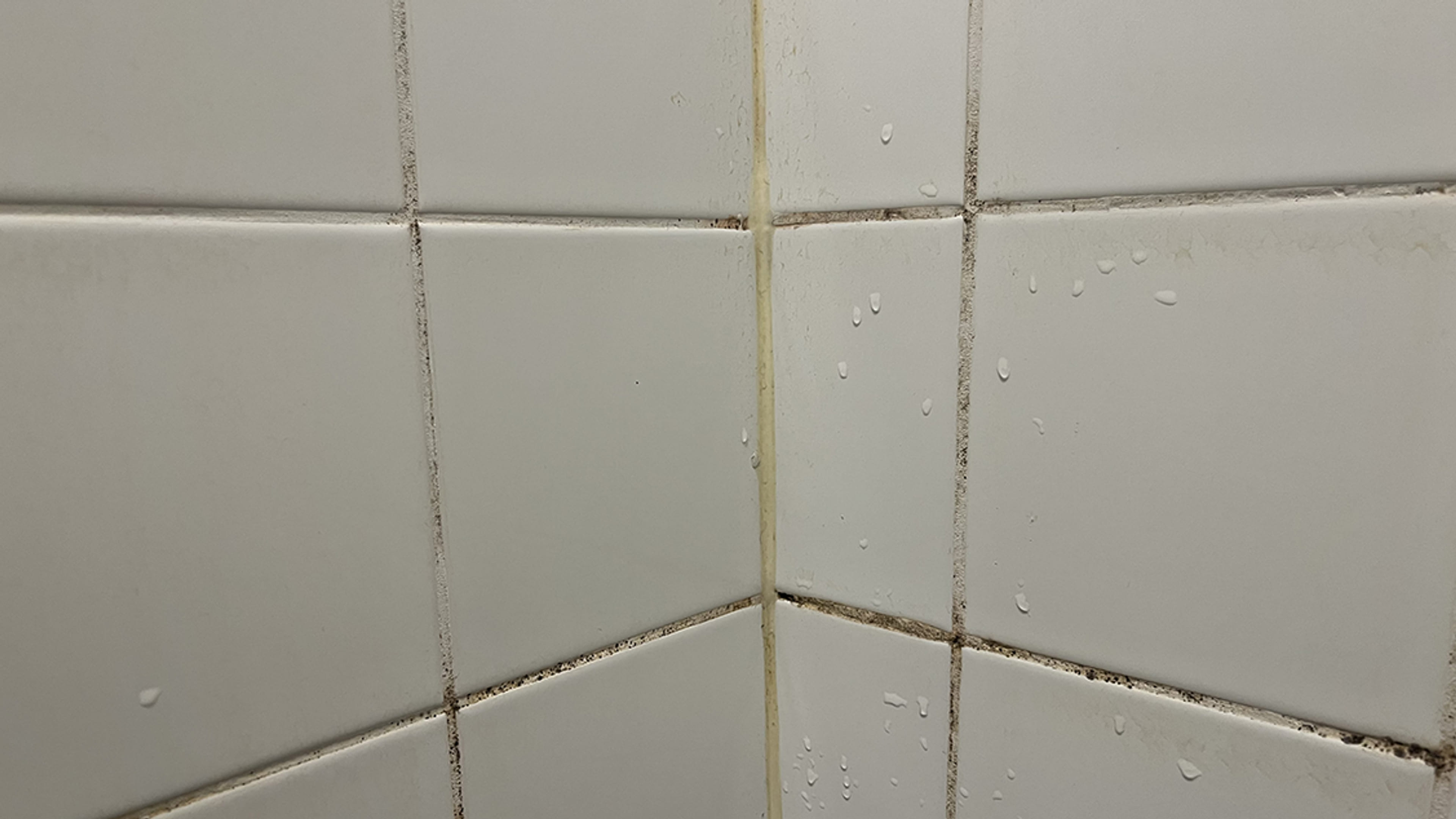 gele voegen wit krijgen